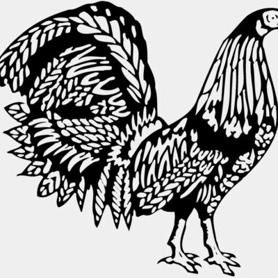 CHICK013 Thumbnail