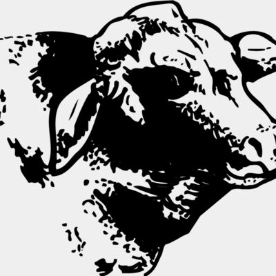 COW004 Thumbnail