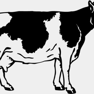 COW024 Thumbnail