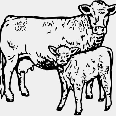 COW030 Thumbnail