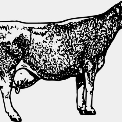 COW034 Thumbnail