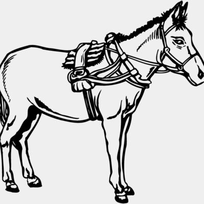 BURRO007 Thumbnail