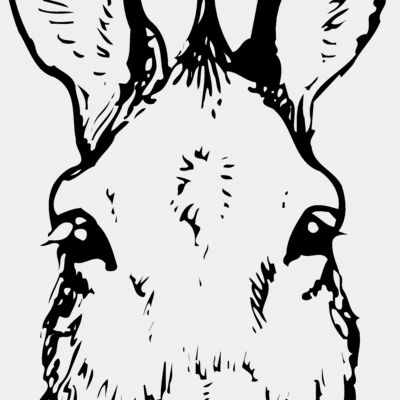 BURRO008 Thumbnail