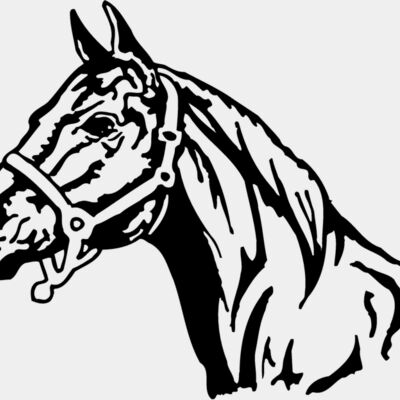 HORSE001 Thumbnail