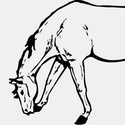 HORSE045 Thumbnail