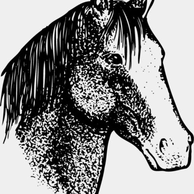 HORSE046 Thumbnail