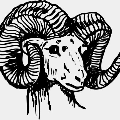 RAM003 Thumbnail