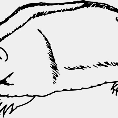 BADGER06 Thumbnail