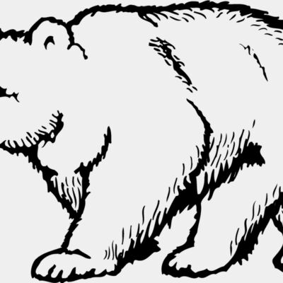 BEAR017 Thumbnail