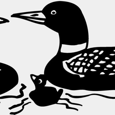 BIRD085 Thumbnail