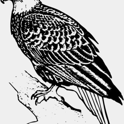 EAGLE021 Thumbnail