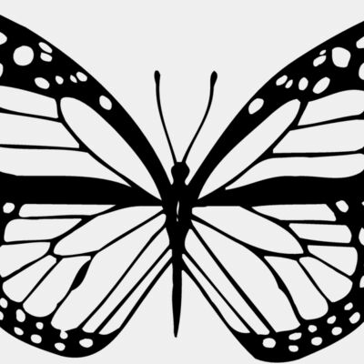 BTRFLY04 Thumbnail
