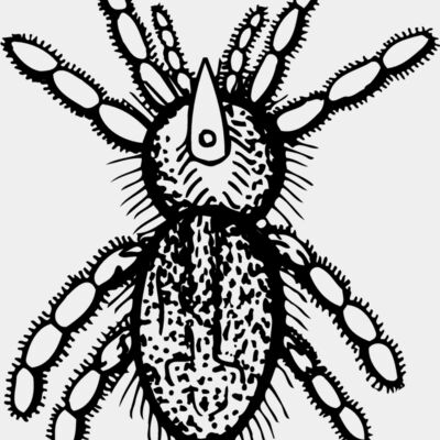SPIDER05 Thumbnail