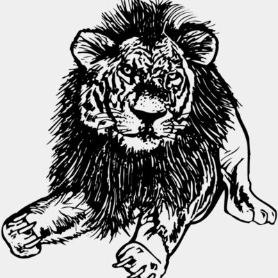 LION005 Thumbnail