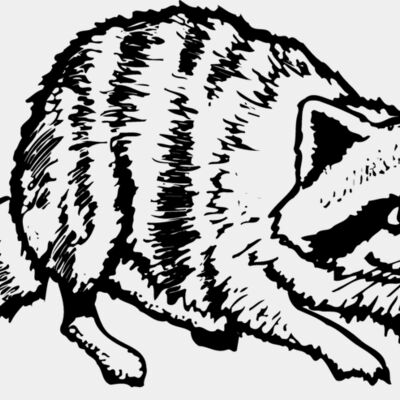 COON001 Thumbnail