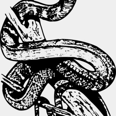 SNAKE008 Thumbnail