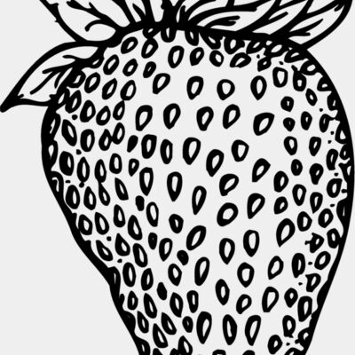 FRUIT010 Thumbnail