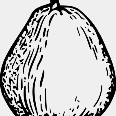 FRUIT026 Thumbnail