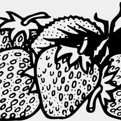 FRUIT038 Thumbnail