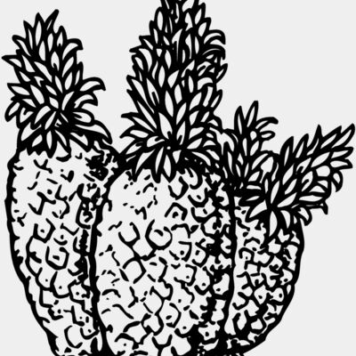 FRUIT039 Thumbnail