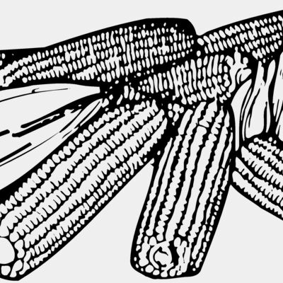 GRAIN005 Thumbnail
