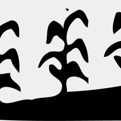 GRAIN016 Thumbnail
