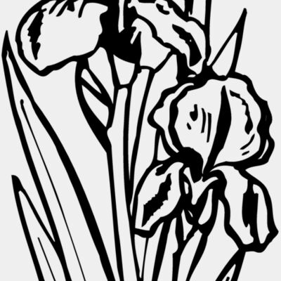 FLOWER20 Thumbnail