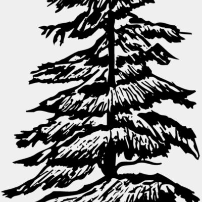 TREE0007 Thumbnail