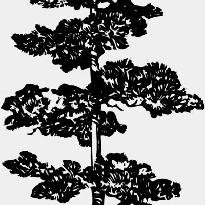 TREE0012 Thumbnail