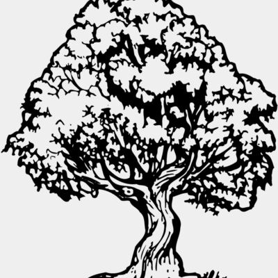 TREE0026 Thumbnail