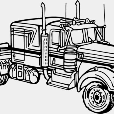 CAB24 Thumbnail