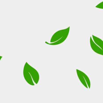 13 Leaves Thumbnail