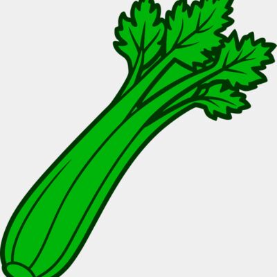 Celery Thumbnail