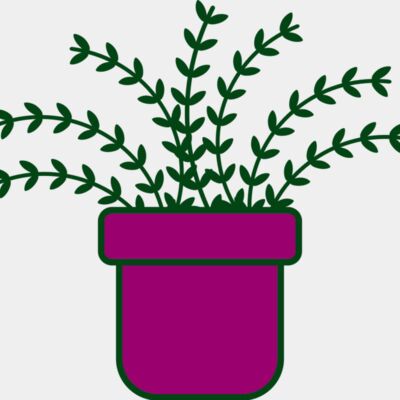 Plant 3 Thumbnail