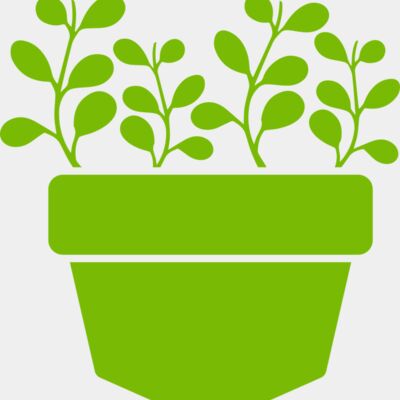 Succulent Plant 3 Thumbnail