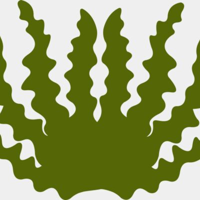 Sea Plant 2 Thumbnail