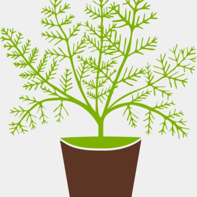Plant Thumbnail