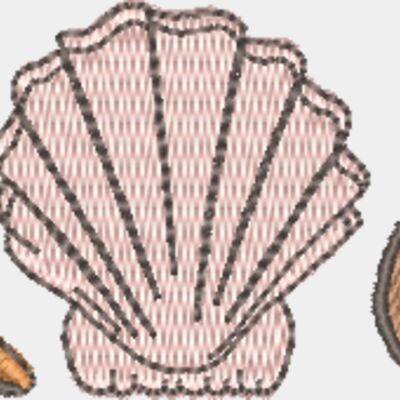 Seashells 3 RK0113 Thumbnail