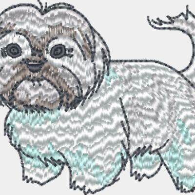 Short Hair Shih Tzu Thumbnail