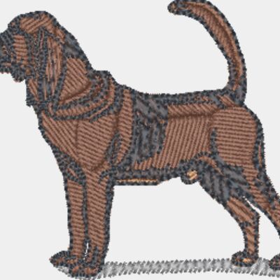 Bloodhound Thumbnail