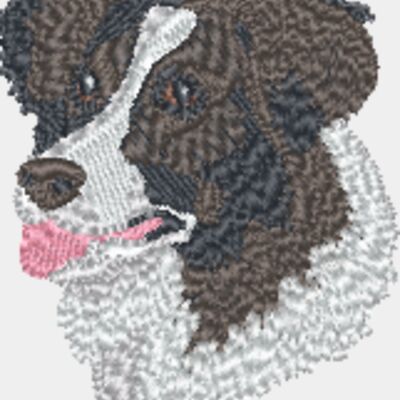 Border Collie Head Thumbnail