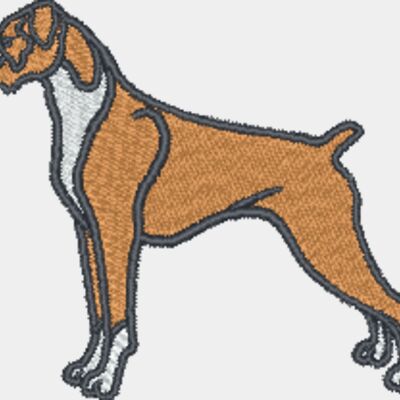 Boxer Thumbnail