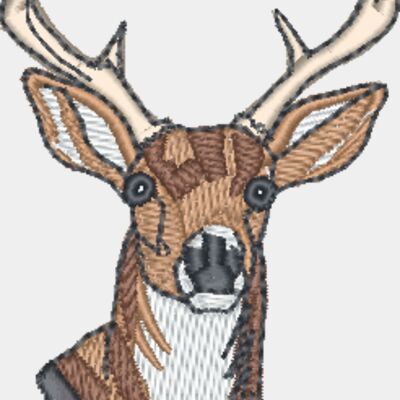 Buck Head Thumbnail