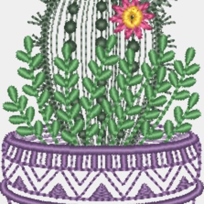 Cactus Bloom Thumbnail