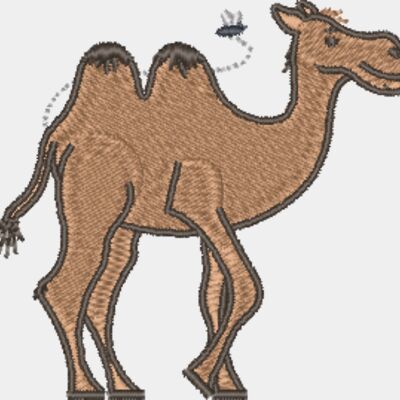 Camel & Fly Thumbnail
