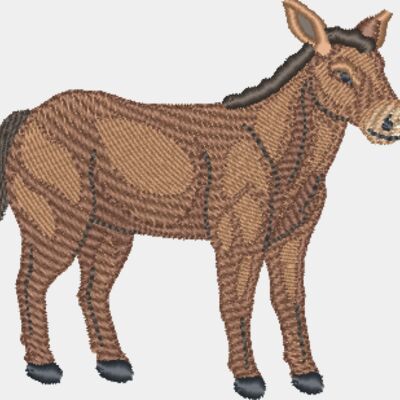 Donkey Thumbnail