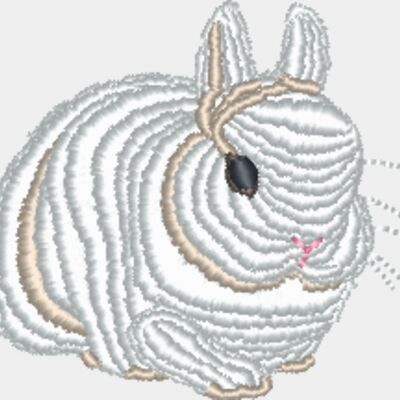 Dwarf Bunny Thumbnail