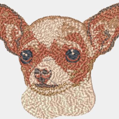Chihuahua Thumbnail