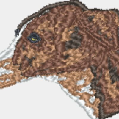 Greyhound Head Thumbnail